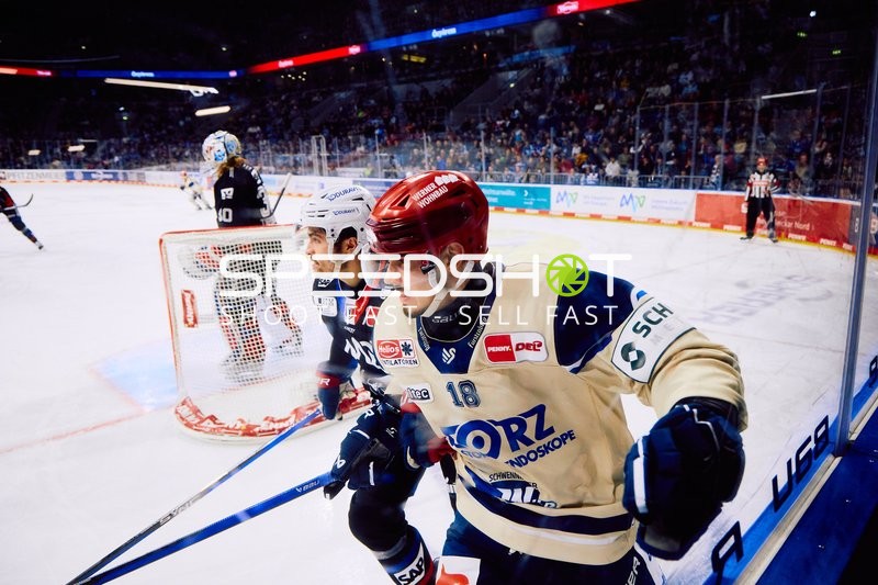 Adler Mannheim vs Schwenninger Wild Wings | 19.01.2024