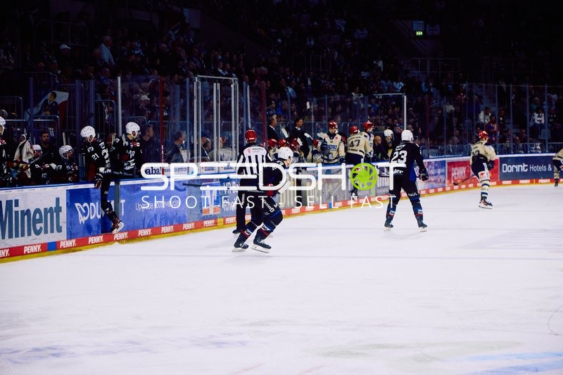 Adler Mannheim vs Schwenninger Wild Wings | 19.01.2024