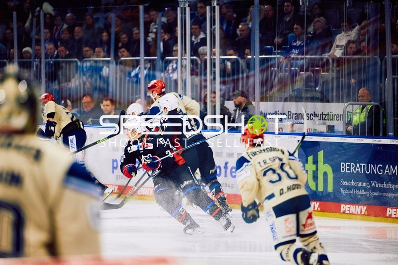 Adler Mannheim vs Schwenninger Wild Wings | 19.01.2024