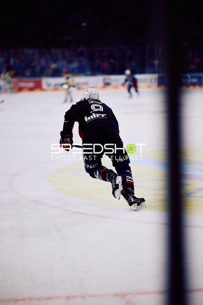 Adler Mannheim vs Schwenninger Wild Wings | 19.01.2024