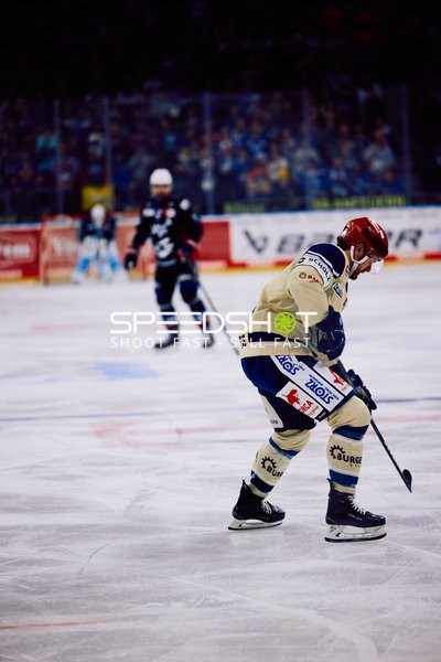 Adler Mannheim vs Schwenninger Wild Wings | 19.01.2024