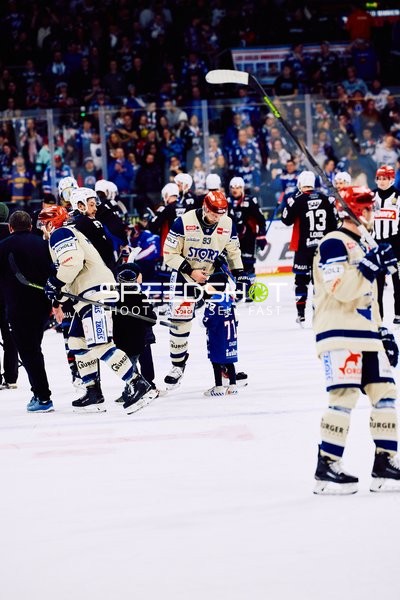 Adler Mannheim vs Schwenninger Wild Wings | 19.01.2024