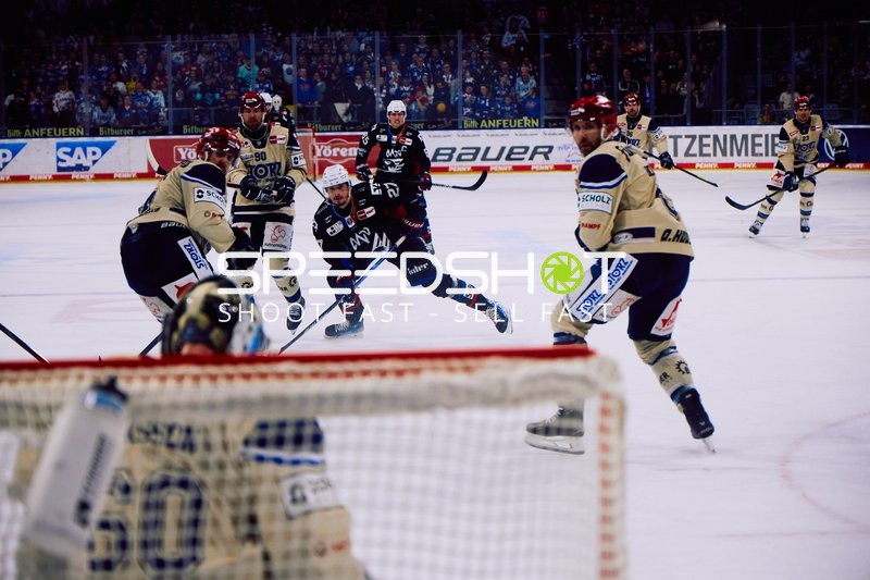 Adler Mannheim vs Schwenninger Wild Wings | 19.01.2024