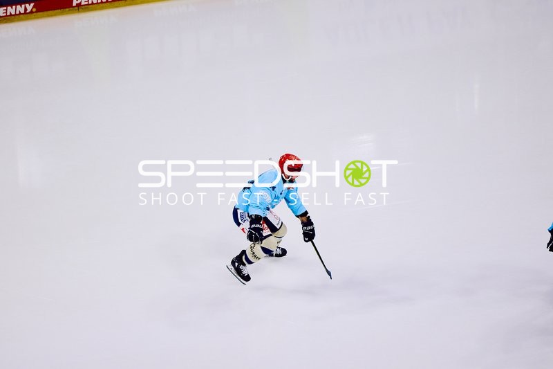 Adler Mannheim vs Schwenninger Wild Wings | 19.01.2024