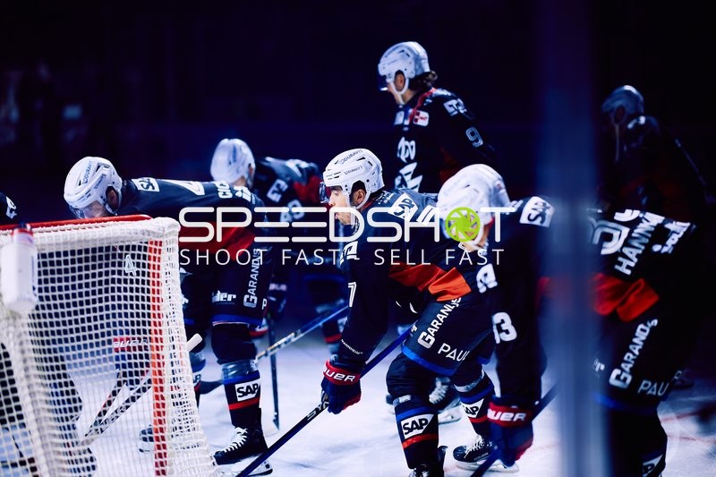 Adler Mannheim vs Schwenninger Wild Wings | 19.01.2024