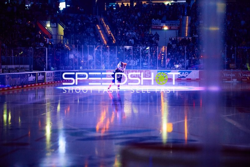 Adler Mannheim vs Schwenninger Wild Wings | 19.01.2024