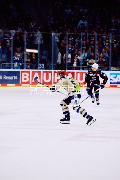 Adler Mannheim vs Schwenninger Wild Wings | 19.01.2024