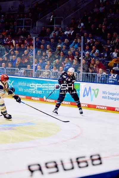 Adler Mannheim vs Schwenninger Wild Wings | 19.01.2024