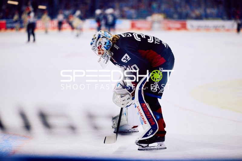 Adler Mannheim vs Schwenninger Wild Wings | 19.01.2024