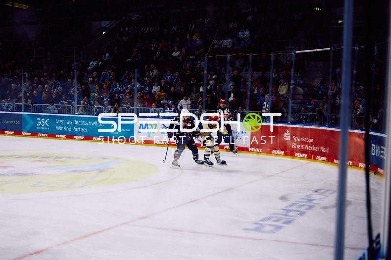 Adler Mannheim vs Schwenninger Wild Wings | 19.01.2024