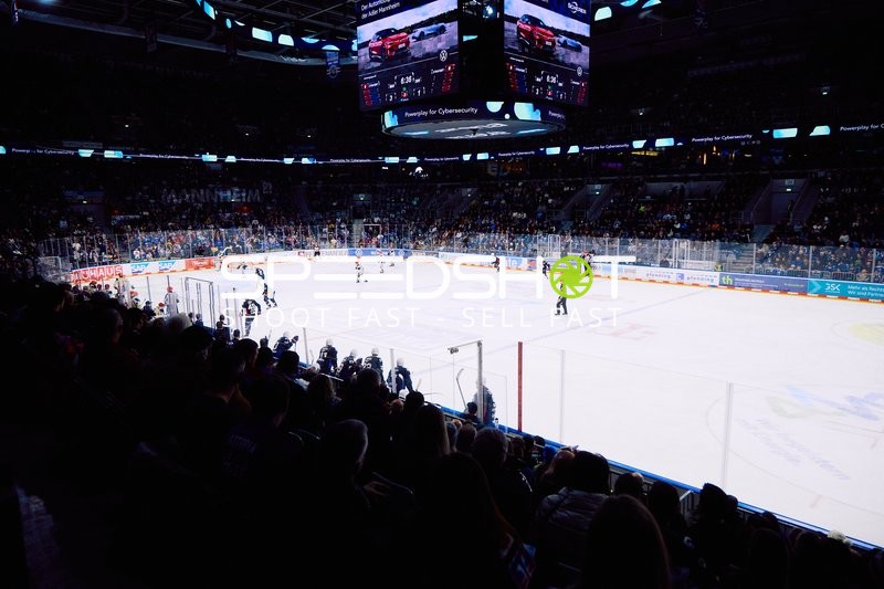 Adler Mannheim vs Schwenninger Wild Wings | 19.01.2024