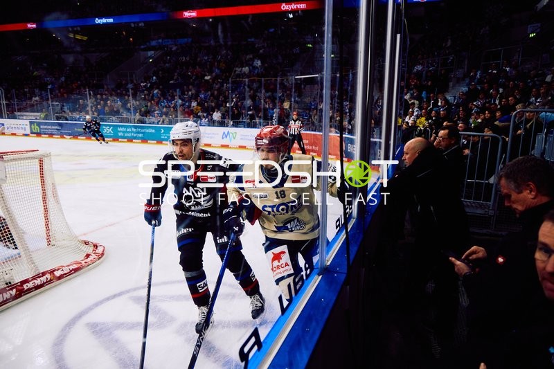 Adler Mannheim vs Schwenninger Wild Wings | 19.01.2024