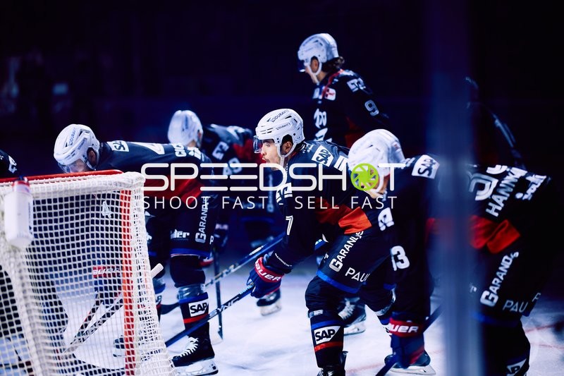 Adler Mannheim vs Schwenninger Wild Wings | 19.01.2024