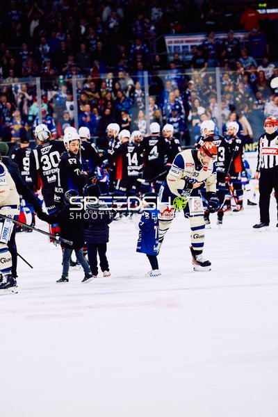 Adler Mannheim vs Schwenninger Wild Wings | 19.01.2024