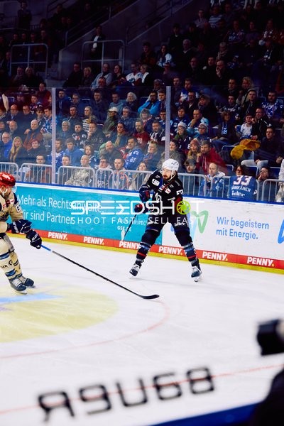 Adler Mannheim vs Schwenninger Wild Wings | 19.01.2024