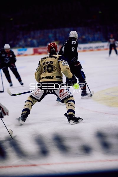 Adler Mannheim vs Schwenninger Wild Wings | 19.01.2024