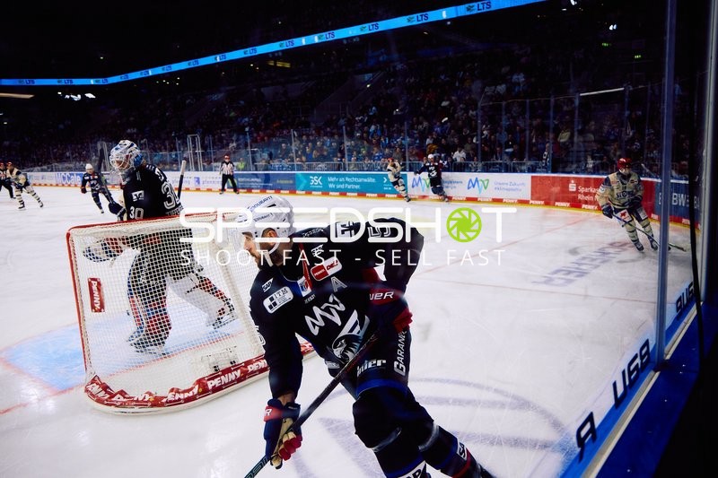 Adler Mannheim vs Schwenninger Wild Wings | 19.01.2024