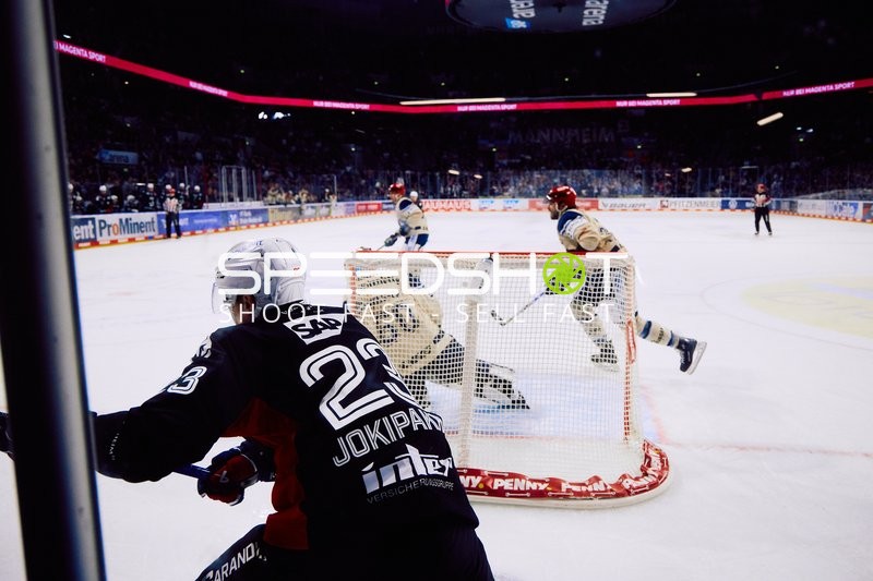 Adler Mannheim vs Schwenninger Wild Wings | 19.01.2024