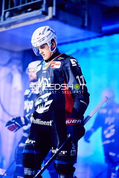 Adler Mannheim vs Schwenninger Wild Wings | 19.01.2024