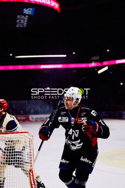 Adler Mannheim vs Schwenninger Wild Wings | 19.01.2024