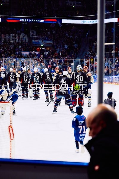 Adler Mannheim vs Schwenninger Wild Wings | 19.01.2024