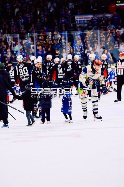 Adler Mannheim vs Schwenninger Wild Wings | 19.01.2024