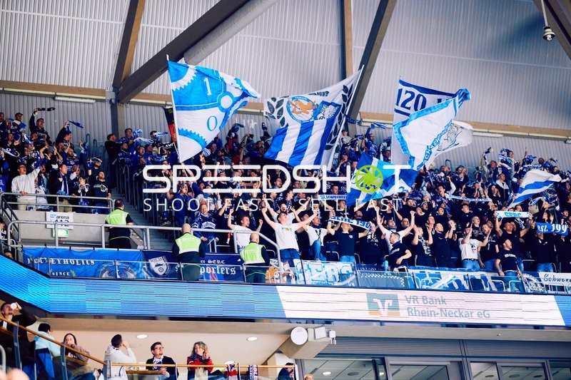 Adler Mannheim vs Schwenninger Wild Wings | 19.01.2024