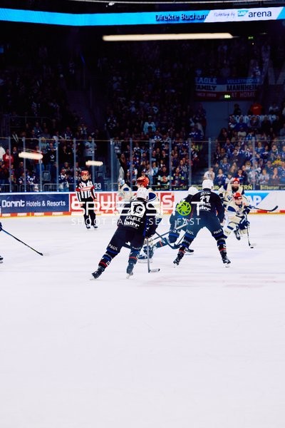 Adler Mannheim vs Schwenninger Wild Wings | 19.01.2024