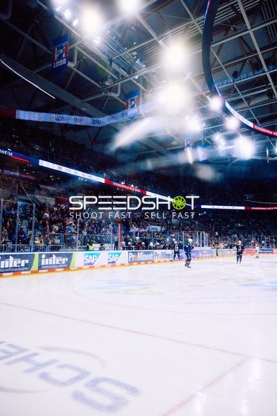 Adler Mannheim vs Schwenninger Wild Wings | 19.01.2024