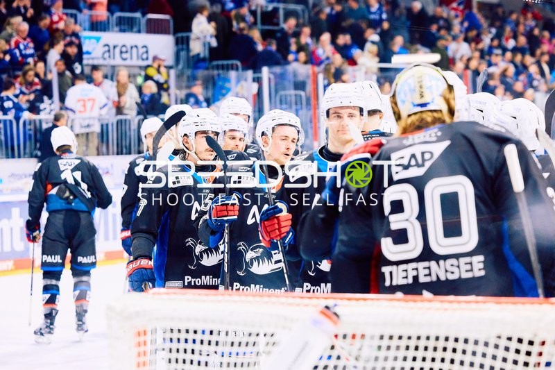 Adler Mannheim vs Schwenninger Wild Wings | 19.01.2024