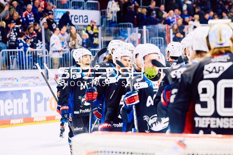 Adler Mannheim vs Schwenninger Wild Wings | 19.01.2024