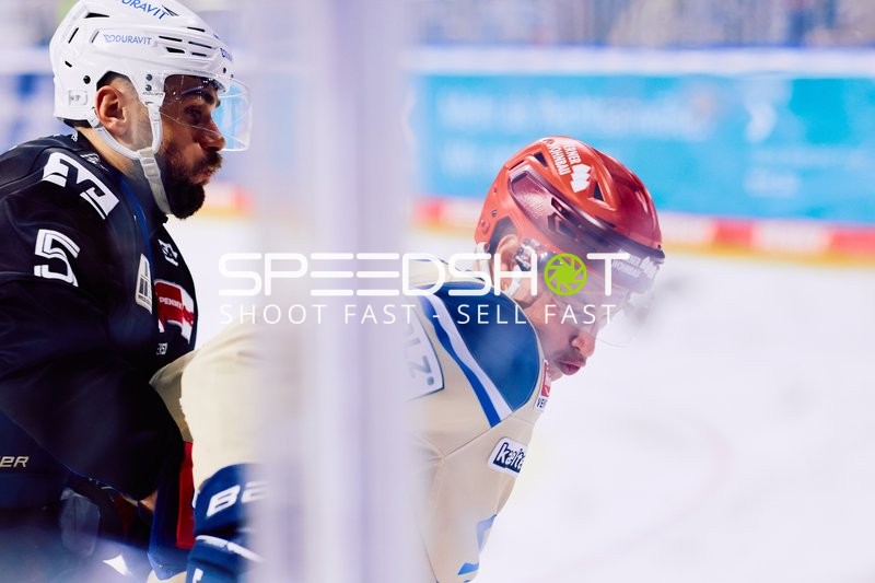 Adler Mannheim vs Schwenninger Wild Wings | 19.01.2024