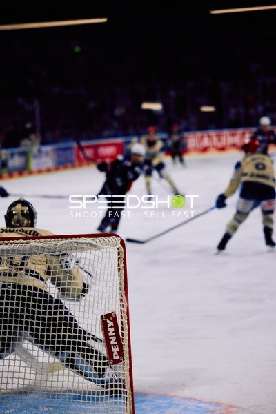 Adler Mannheim vs Schwenninger Wild Wings | 19.01.2024