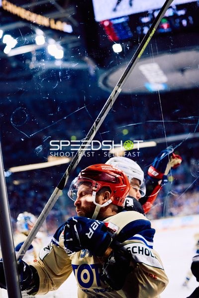 Adler Mannheim vs Schwenninger Wild Wings | 19.01.2024