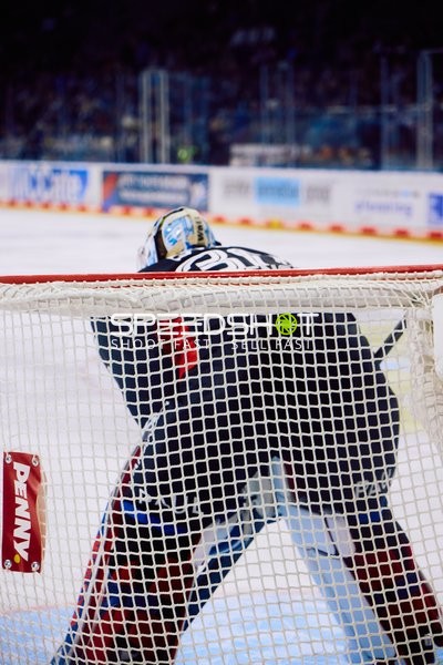 Adler Mannheim vs Schwenninger Wild Wings | 19.01.2024