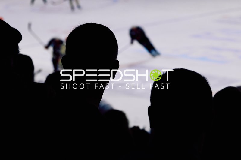 Adler Mannheim vs Schwenninger Wild Wings | 19.01.2024