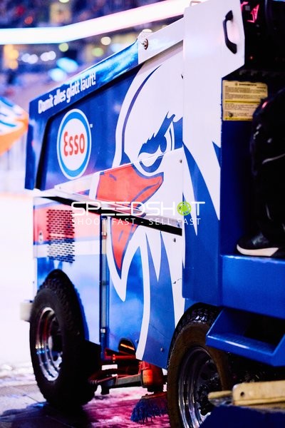 Adler Mannheim vs Schwenninger Wild Wings | 19.01.2024