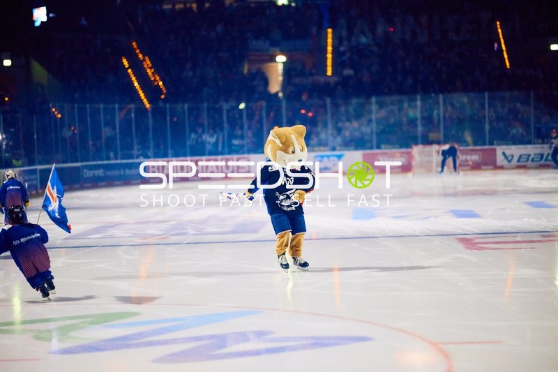 Adler Mannheim vs Schwenninger Wild Wings | 19.01.2024