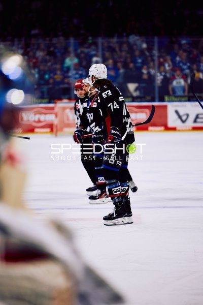 Adler Mannheim vs Schwenninger Wild Wings | 19.01.2024