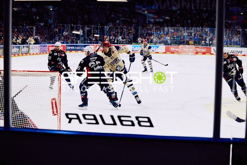 Adler Mannheim vs Schwenninger Wild Wings | 19.01.2024