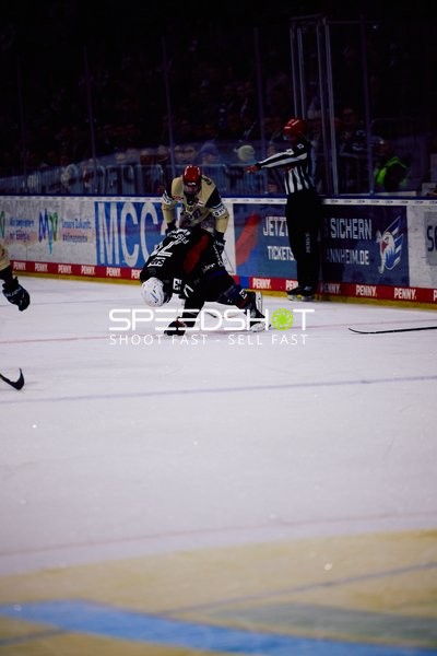 Adler Mannheim vs Schwenninger Wild Wings | 19.01.2024