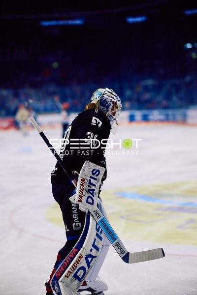 Adler Mannheim vs Schwenninger Wild Wings | 19.01.2024