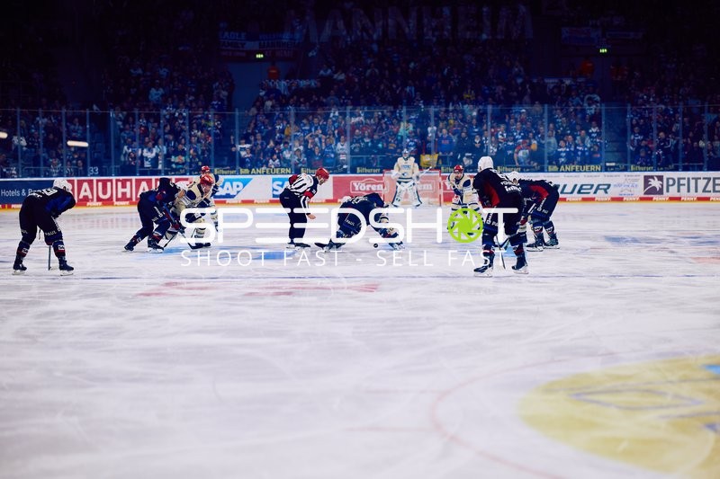 Adler Mannheim vs Schwenninger Wild Wings | 19.01.2024