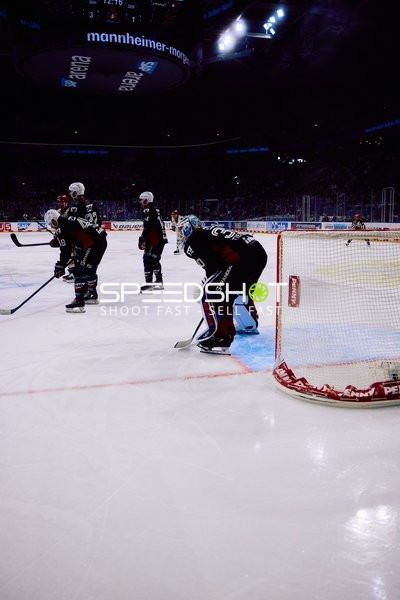 Adler Mannheim vs Schwenninger Wild Wings | 19.01.2024