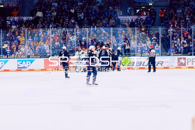 Adler Mannheim vs Schwenninger Wild Wings | 19.01.2024