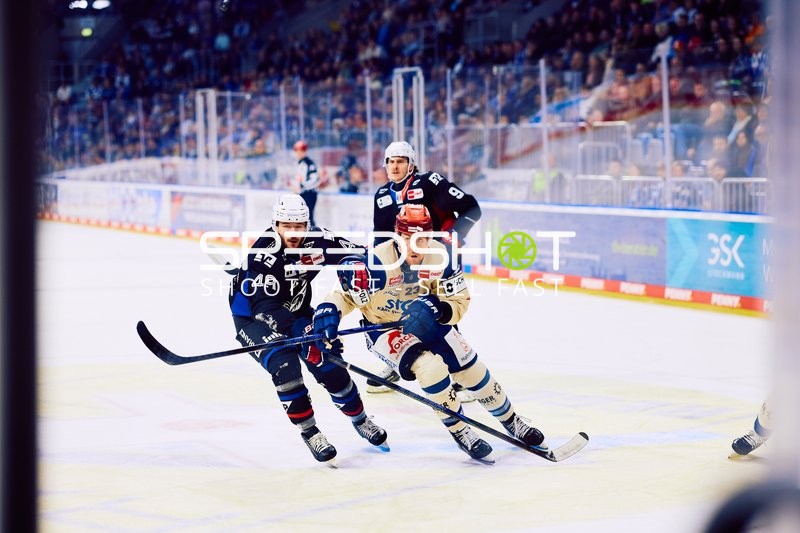 Adler Mannheim vs Schwenninger Wild Wings | 19.01.2024