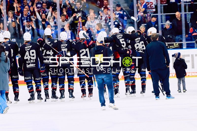 Adler Mannheim vs Schwenninger Wild Wings | 19.01.2024