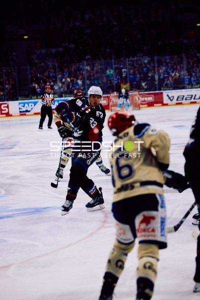 Adler Mannheim vs Schwenninger Wild Wings | 19.01.2024