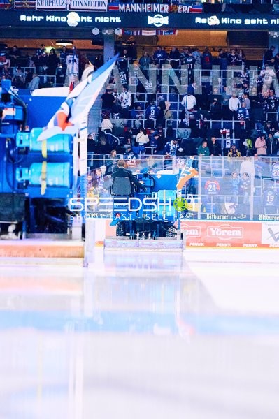 Adler Mannheim vs Schwenninger Wild Wings | 19.01.2024