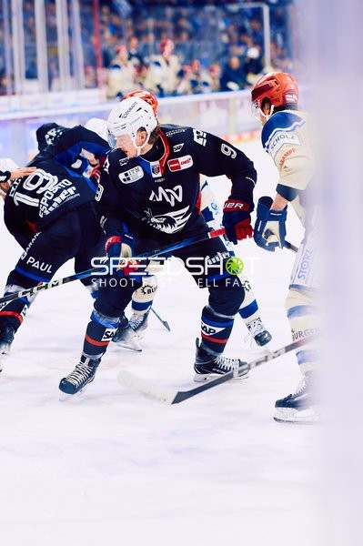 Adler Mannheim vs Schwenninger Wild Wings | 19.01.2024